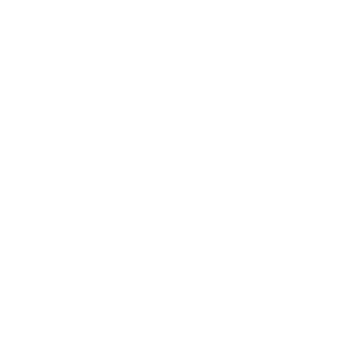 Newcastle Wine Week 2 wine glasses cheersing